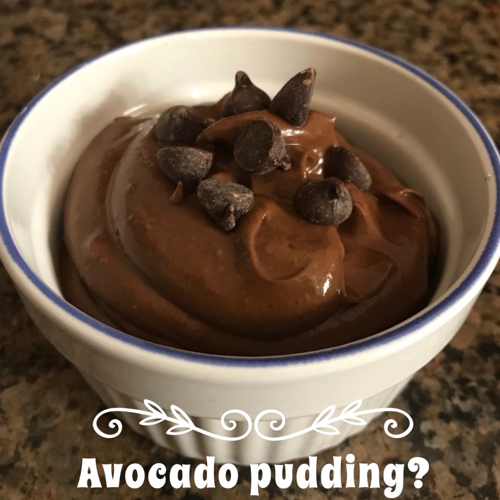 Avocado Chocolate Pudding