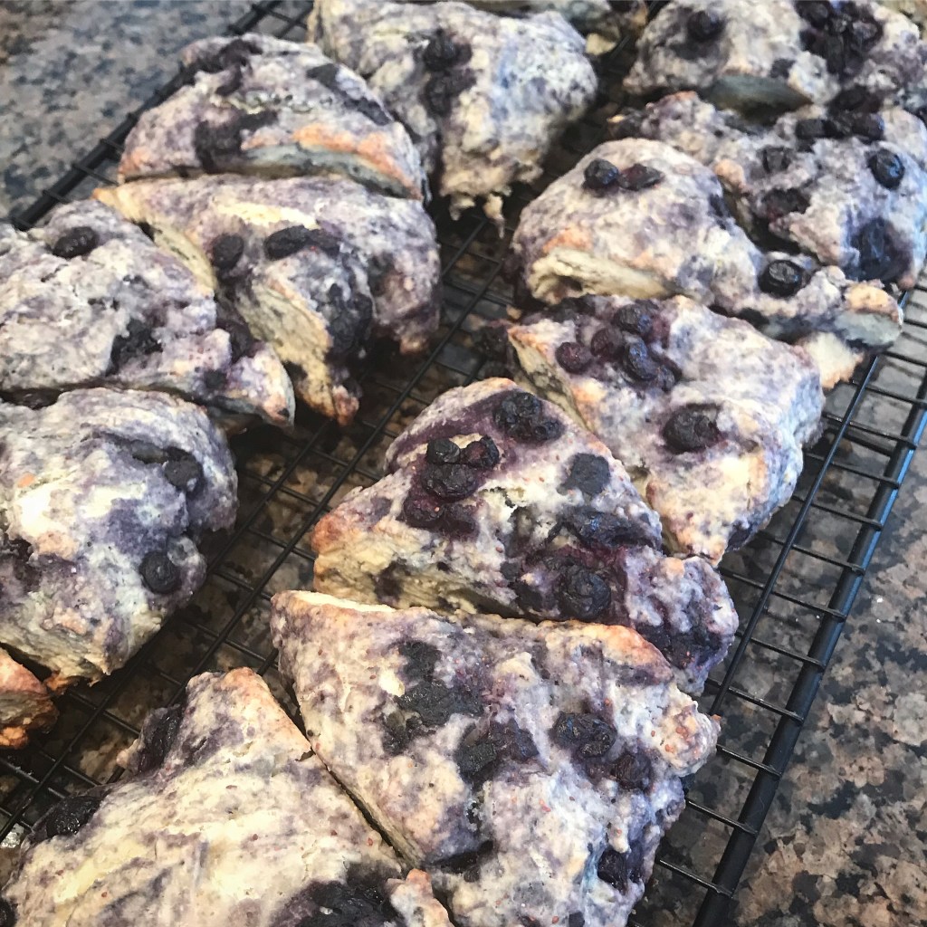 Simple Blueberry Scones